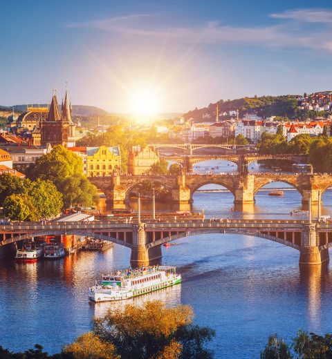 Top 5 Countries in Europe for Skilled Workers from Abroad